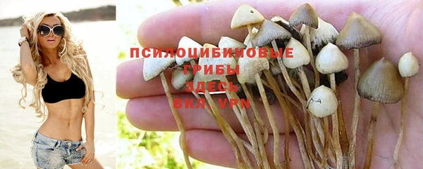 амф Белокуриха
